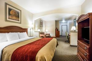 Hotel Comfort Inn & Suites Galt - Lodi North