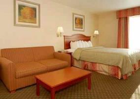 Hotel Comfort Inn & Suites Galt - Lodi North