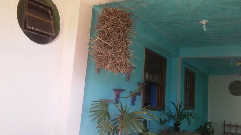 Hostal Pousada Alegre Pinheirinho