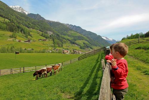 Agroturismo Wei�nbachlhof