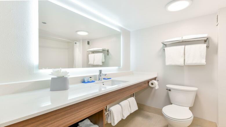 Hotel Holiday Inn Express And Suites