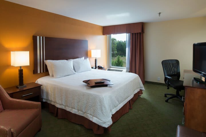 Hotel Hampton Inn Cornelia