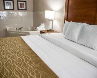 Hotel Comfort Inn & Suites Riverview
