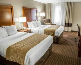 Hotel Comfort Inn & Suites Riverview