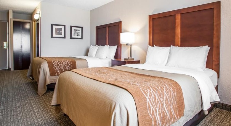 Hotel Comfort Inn Westport