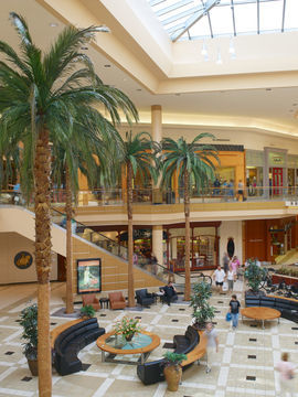 Hotel Doubletree Guest Suites Tampa Bay