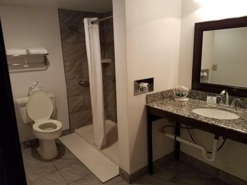 Best Western Innsuites Hotel