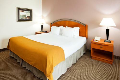 Hotel Holiday Inn Express Forest City