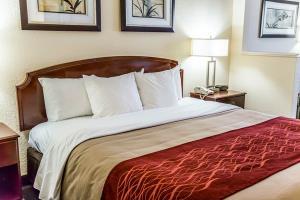 Hotel Comfort Inn Shallotte