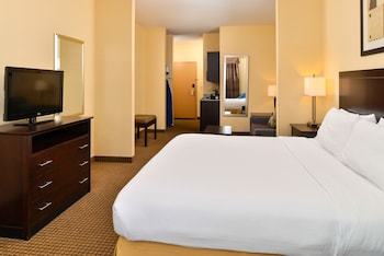 Holiday Inn Express Hotel & Suites Greenville