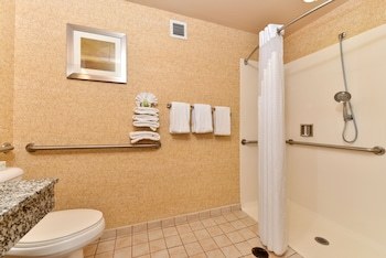 Holiday Inn Express Hotel & Suites Greenville