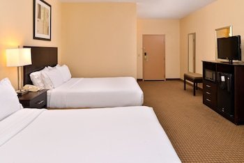 Holiday Inn Express Hotel & Suites Greenville