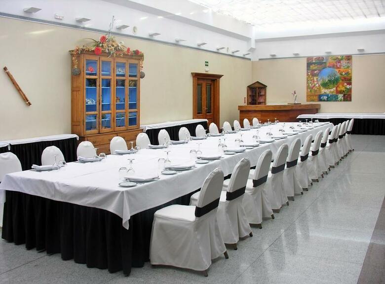 Hotel Guadalajara & Conference Center Affiliated By Meli�