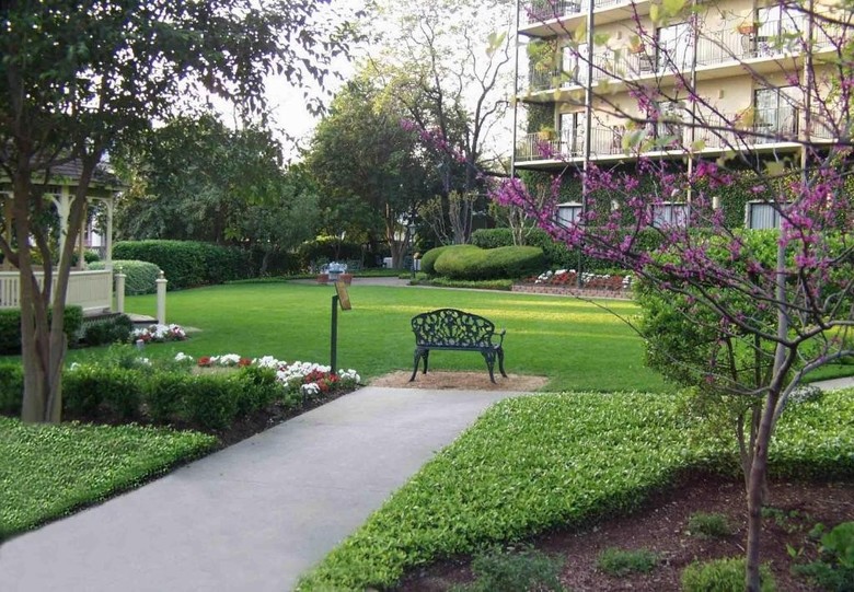 Hotel Marriott Plaza San Antonio