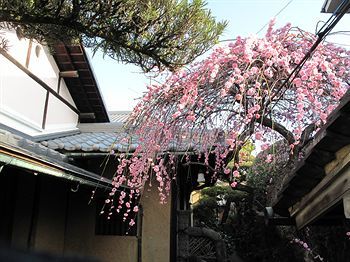 Albergue Guesthouse Nara Backpackers