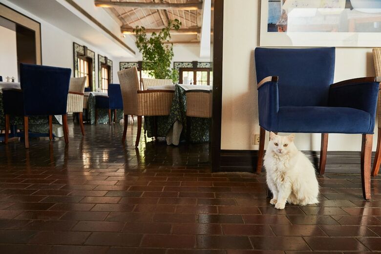 Hotel The Marmara Bodrum