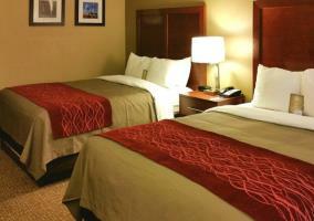 Hotel Comfort Inn