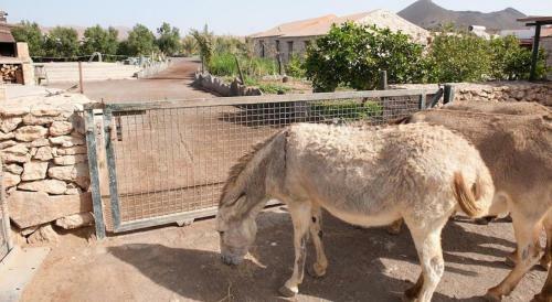 Agroturismo La Gayria