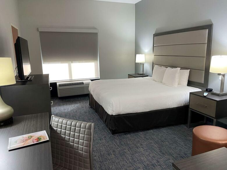Hotel Wingate By Wyndham - Mcallen