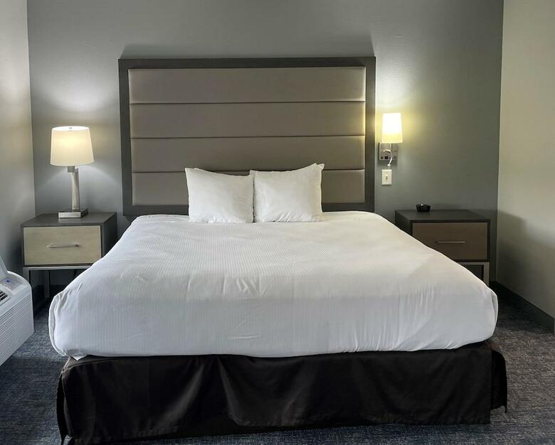 Hotel Wingate By Wyndham - Mcallen