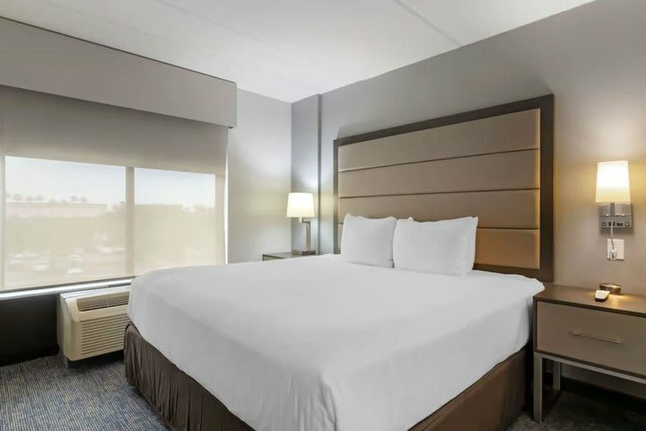 Hotel Wingate By Wyndham - Mcallen
