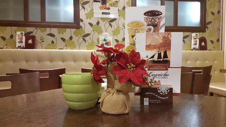 Hotel Galatea