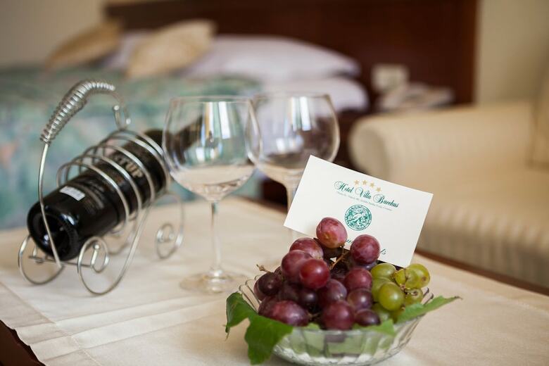 Hotel Villa Bacchus