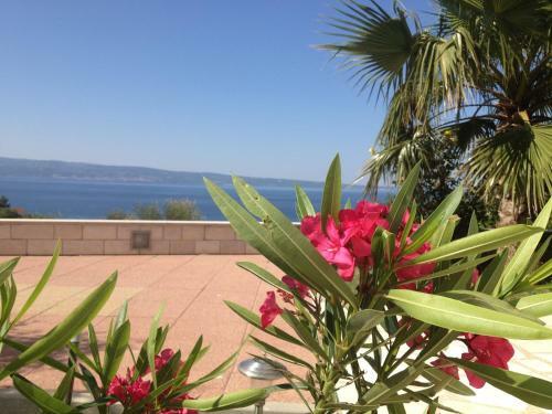 Apartamentos Villa La Domazet