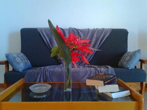 Apartamento Finca La Morera