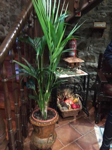 Hostal La Casona De Benito