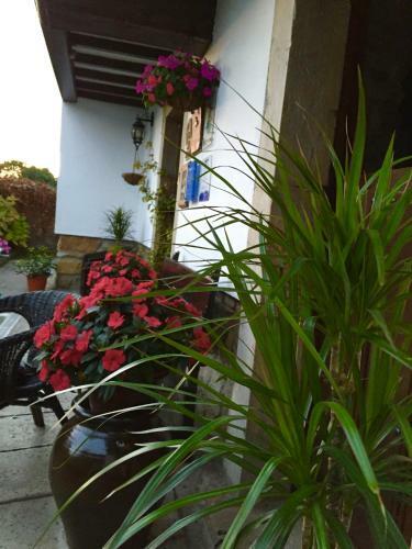 Hostal La Casona De Benito