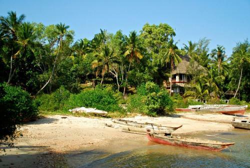 Hotel Mangrove Lodge