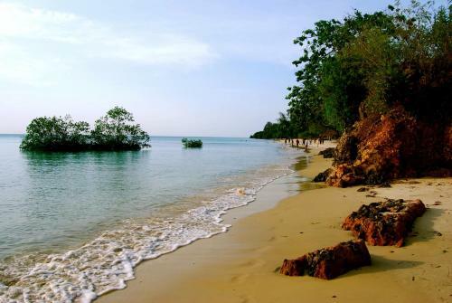 Hotel Mangrove Lodge