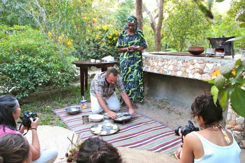 Hotel Mangrove Lodge