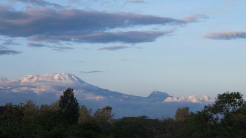 Ngare Sero Mountain Lodge