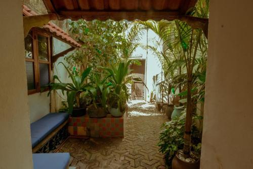 Hostal Malindi Guest House