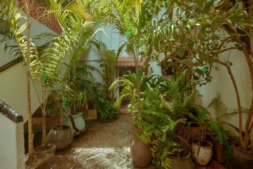 Hostal Malindi Guest House