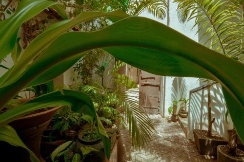 Hostal Malindi Guest House