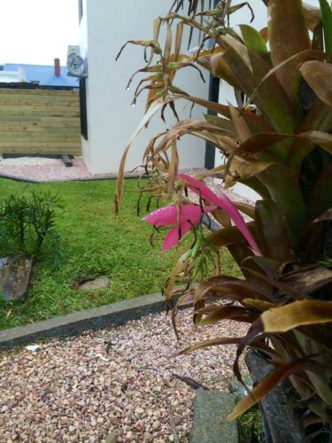 Apartamento Las Pakas