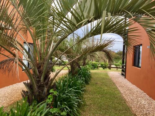 Apartamento Las Pakas