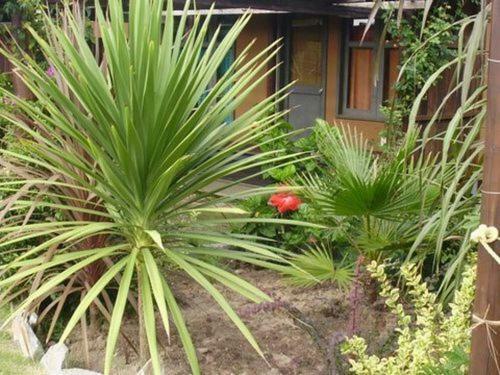 Lodge Caba�as Cambalache
