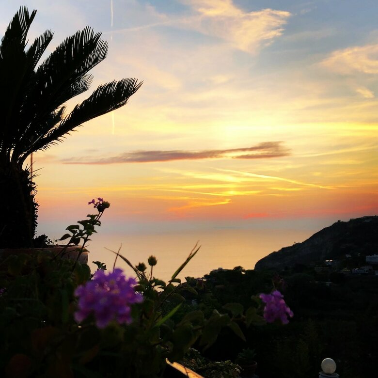 Bed & Breakfast Villa Neptunus