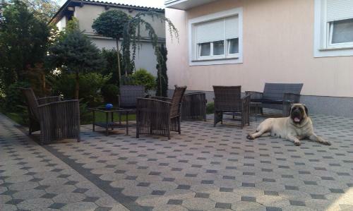 Hostal Guesthouse Tiban