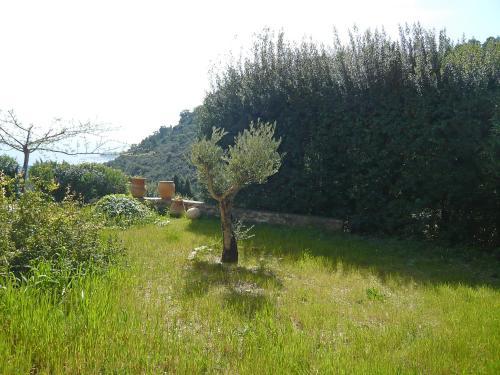 Holiday Home Domaine Les Collieres Cavalaire