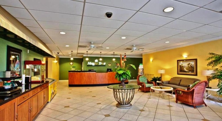 Hotel Magic Tree Resort
