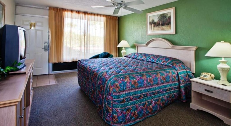 Hotel Magic Tree Resort