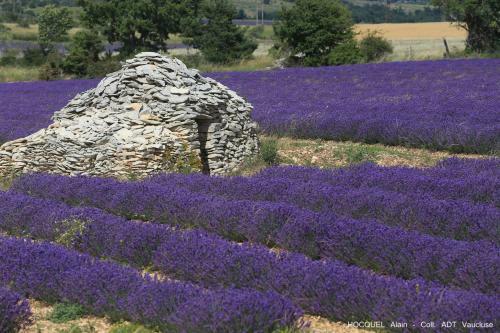Agroturismo Les Terrasses