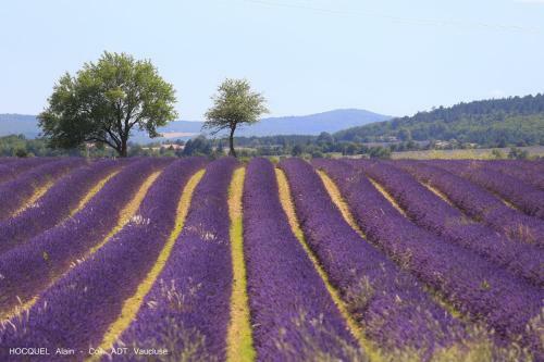 Agroturismo Les Terrasses