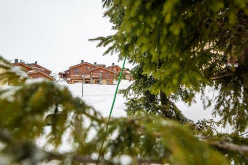 Parc Madeleine - Chalets