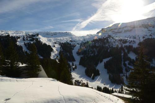 Apartamento Appartement Flaine For�t